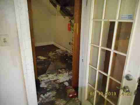 6534 Horatio (13)_m.jpg